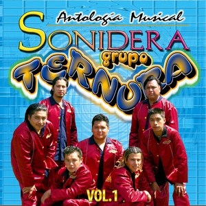 Antología Musical Sonidera: Grupo Ternura, Vol. 1