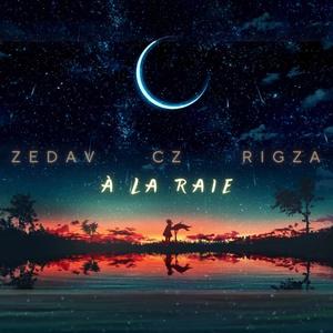 A la raie (feat. CZ & POLO RIGZA) (Explicit)