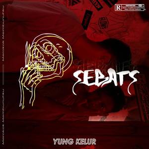 SEBATS (Explicit)