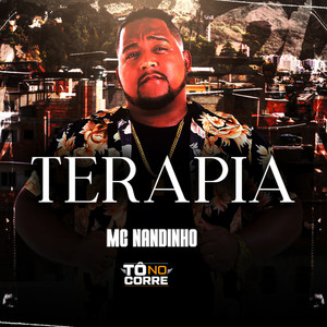 Mc Nandinho - Terapia (Explicit)