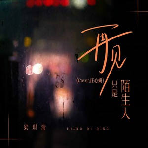 再见只是陌生人