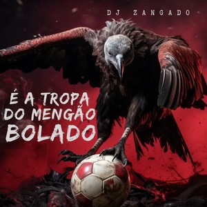 É a Tropa Do Mengão Bolado