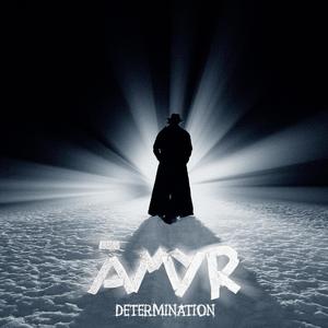 Determination (Explicit)