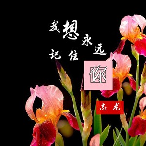 我想永远记住你