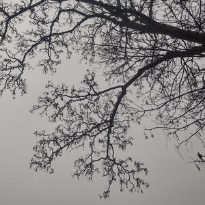 thoughts of u (feat. kozzvme) (Explicit)