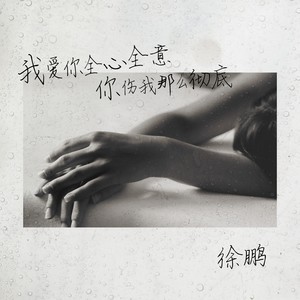 我爱你全心全意你伤我那么彻底 (伴奏)