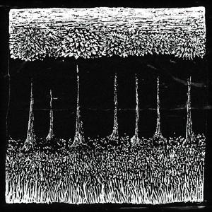 Bottomless Pit (feat. Spooz)