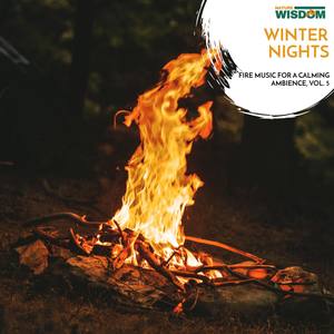 Winter Nights - Fire Music for a Calming Ambience, Vol. 5