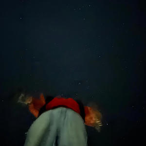 He a scammer (Explicit)