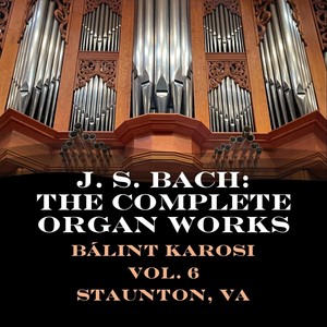 J.S. Bach: The Complete Organ Works, Vol. 6