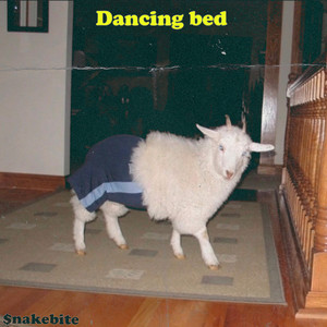 Dancing bed (Explicit)