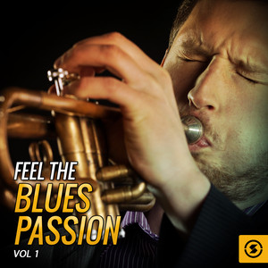 Feel the Blues Passion, Vol. 1