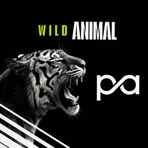 Wild Animal