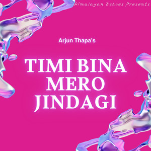 Timi Bina Mero Jindagi