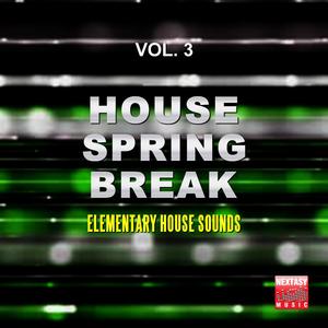 Moonlight Shadow (feat. Christina Danforth) (Original Mix)