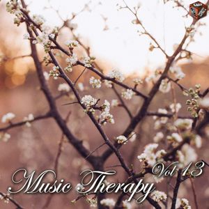 Music Therapy, Vol. 13