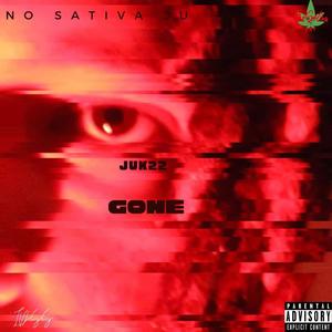 Gone freestyle (Explicit)
