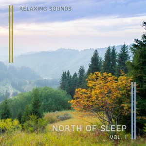 Sleepy Forest Noises for Deep Naps pt. 2 (feat. The Net Chords, Deep Sleep Nature Sounds & Zen Radio 1) (Radio Edit)