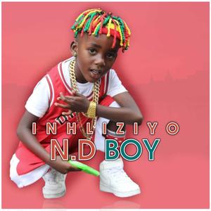 Inhliziyo