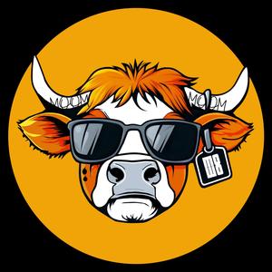 Here Comes The Moom