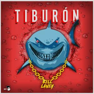 Tiburón