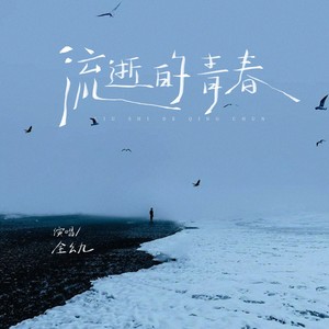 流逝的青春
