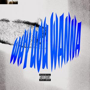 WHY YOU WANNA??? (feat. AYOOGEE) (Explicit)