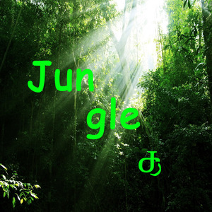 Jungle