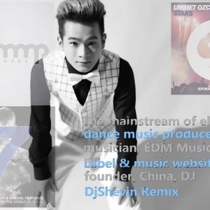 DjShevin谢天铧 (DJ版)