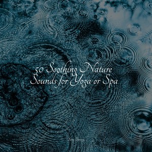 50 Soothing Nature Sounds for Yoga or Spa