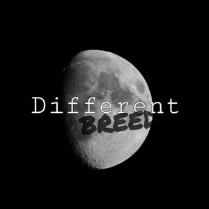 Different Breed (Explicit)