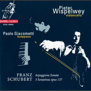 Sonata for Arpeggione and Piano in A Minor, D. 821 - Adagio (E major) (阿佩乔尼奏鸣曲，作品 821)
