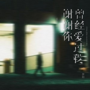 谢谢你曾经爱过我 (DJ清清版)