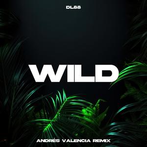 Wild (Andrés Valencia Remix)