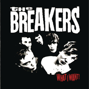 What I Want (Album Version)