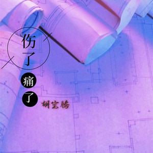 伤了痛了