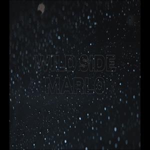 Wild Side (Explicit)