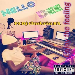 Enjoy The Feeling (feat. DJ Thukzin)