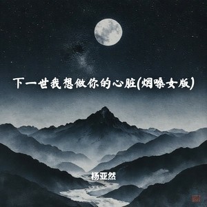 下一世我想做你的心脏 (烟嗓女版)