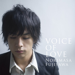 VOICE OF LOVE～愛の力～