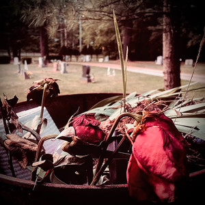 I Watched You Die (Explicit)