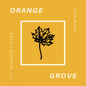 Orange Grove