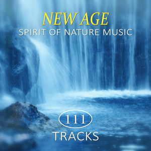 New Age Spirit of Nature Music & Healing Power of Water Therapy: 111 Best Relaxing Tracks Pure Nature, Chakra Balancing for Body, Mind & Soul, Yoga & Mindfulness Training