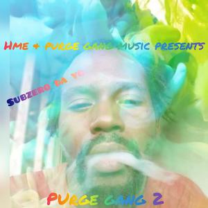 Purge Gang, Vol. 2 (Explicit)