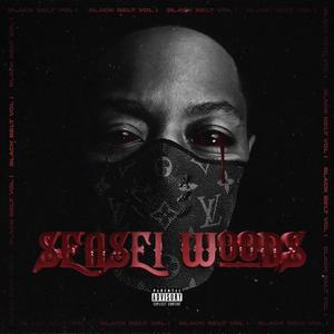 Black Belt, Vol. 1 (Sensei Woods) [Explicit]