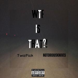 WTF IS THAT?! (feat. NotoriousKnives) [Explicit]