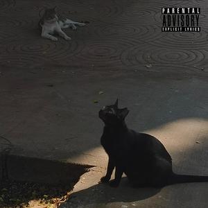 Mere maut ke baad (Explicit)