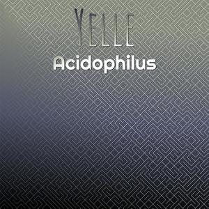 Yelle Acidophilus