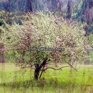 自然之声 自然音乐 - 大脑生态学