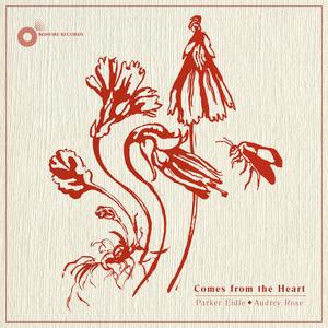 Comes from the Heart (feat. Audrey Rose)